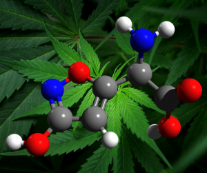 Aminoacidos faculty fuel cannabis marihuana fertilizante abono 