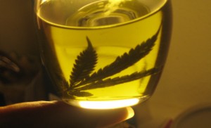 aceite_cannabis-greenfaculty-marihuana