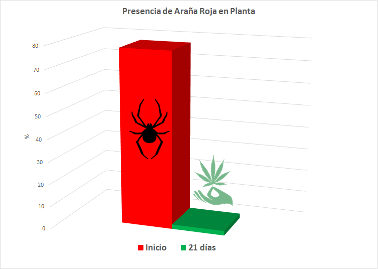 Gráfico Araña Roja 21 días Faculty Killer marihuana cannabis
