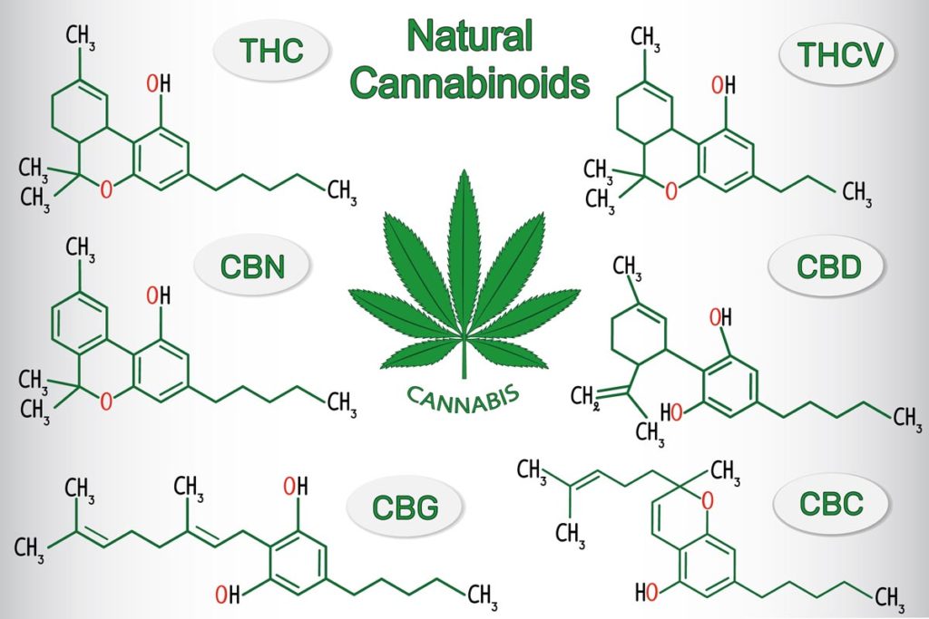 cannabinoides marihuana